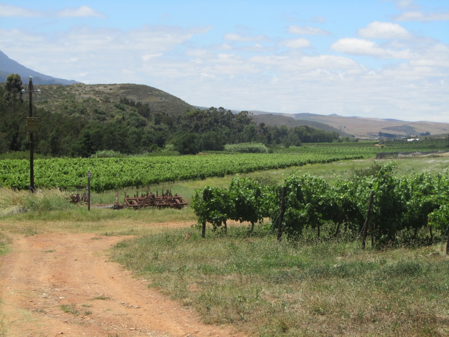 Commercial Property for Sale in Montagu Rural Western Cape